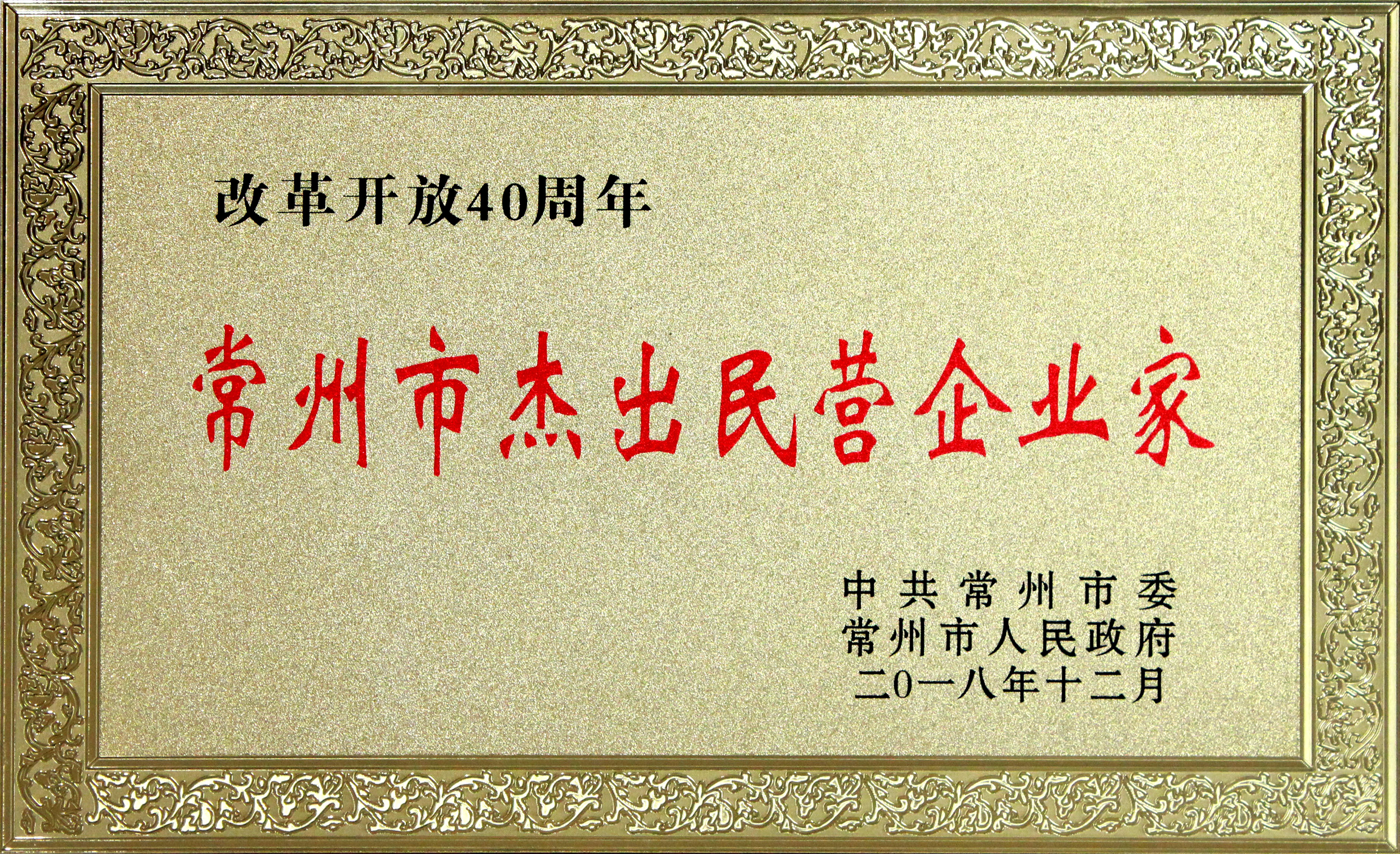 丁山华董事长获评刷新开放40周年“常州市优异民营企业家”