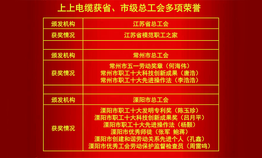 尊龙凯时人生就是搏电缆获省、市级总工会多项声誉